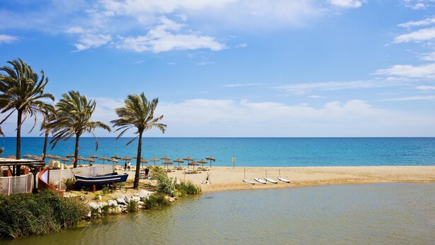 A beach with palm trees, a sandy shore, and a calm sea. - Sunset Golf Groundfloor Shared Pool (Estepona)