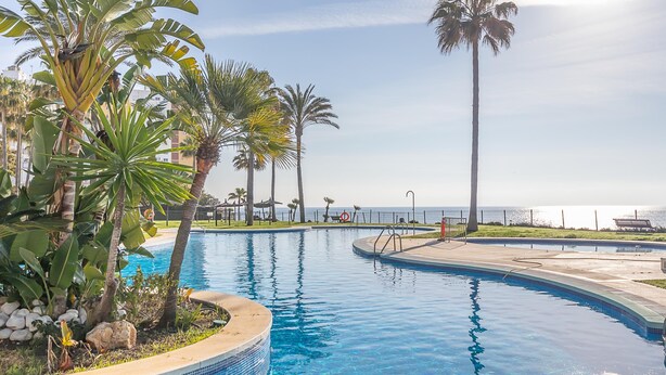 A swimming pool with palm trees and a view of the ocean. - Mi Capricho Beach Front sea View Pool (Mijas)