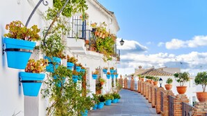 A narrow street lined with white buildings, blue flower pots, and potted plants. - Mi Capricho Beach Front sea View Pool (Mijas)