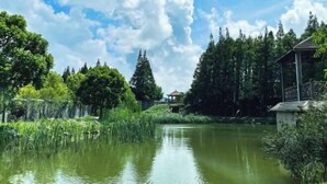 A serene pond surrounded by lush greenery and trees, with a gazebo-like structure on the right. - Shanghai Changxing International Hotel (Shanghai)