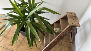 Uklassifisert bilde, 4 av 28, knapp