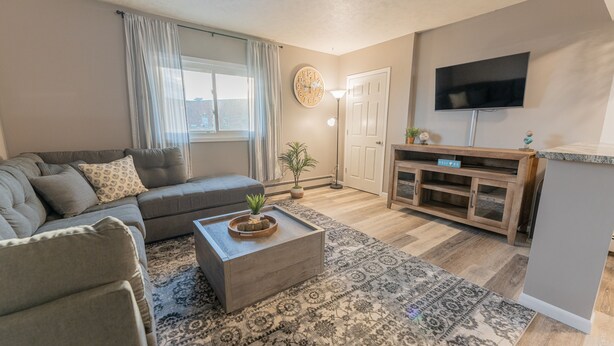 Ein Wohnzimmer mit grauem Sofa, einem Couchtisch mit Pflanze, einem gemusterten Teppich, einer Holzkommode und einem an der Wand montierten Fernseher.