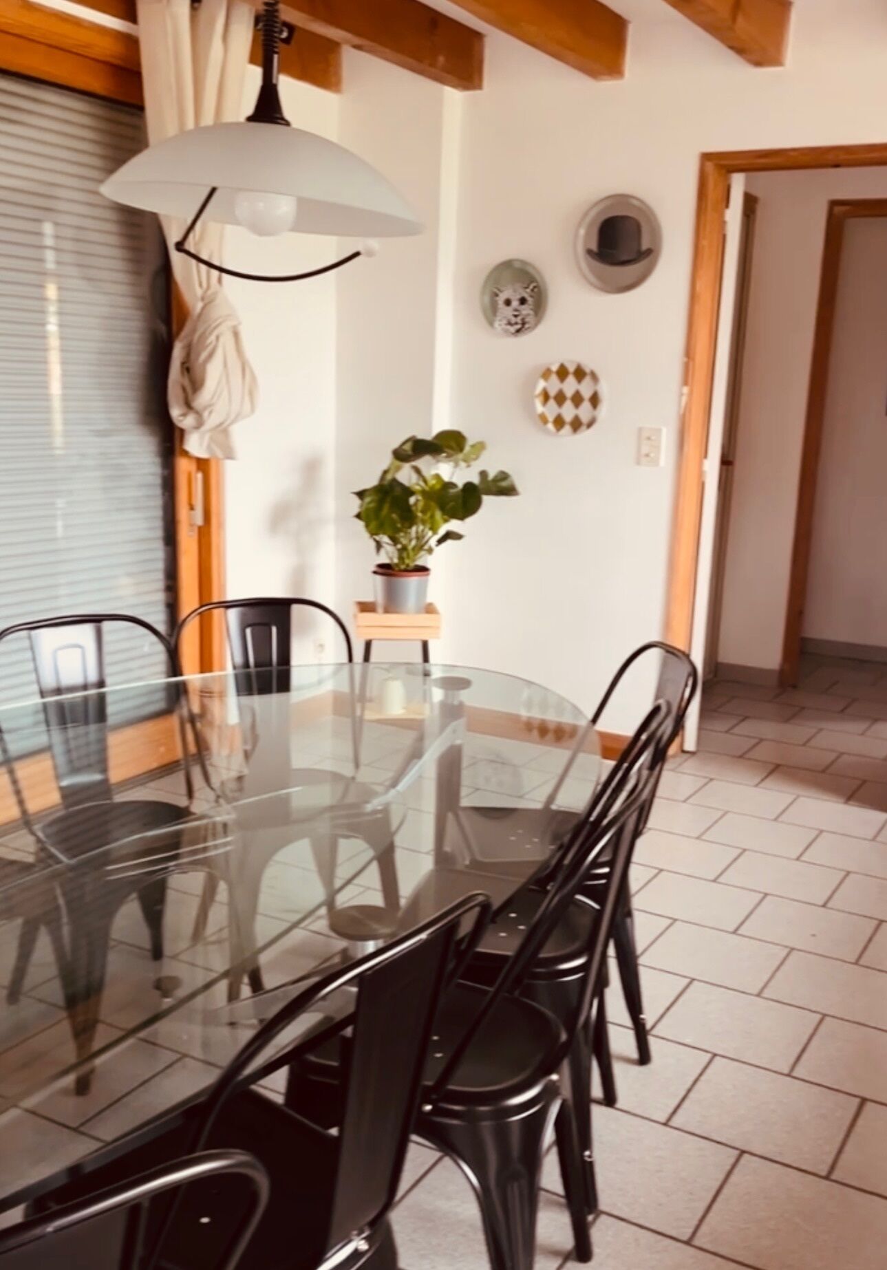 A dining area with a glass table and black chairs, a hanging light fixture, a potted plant, and decorative plates on the wall.