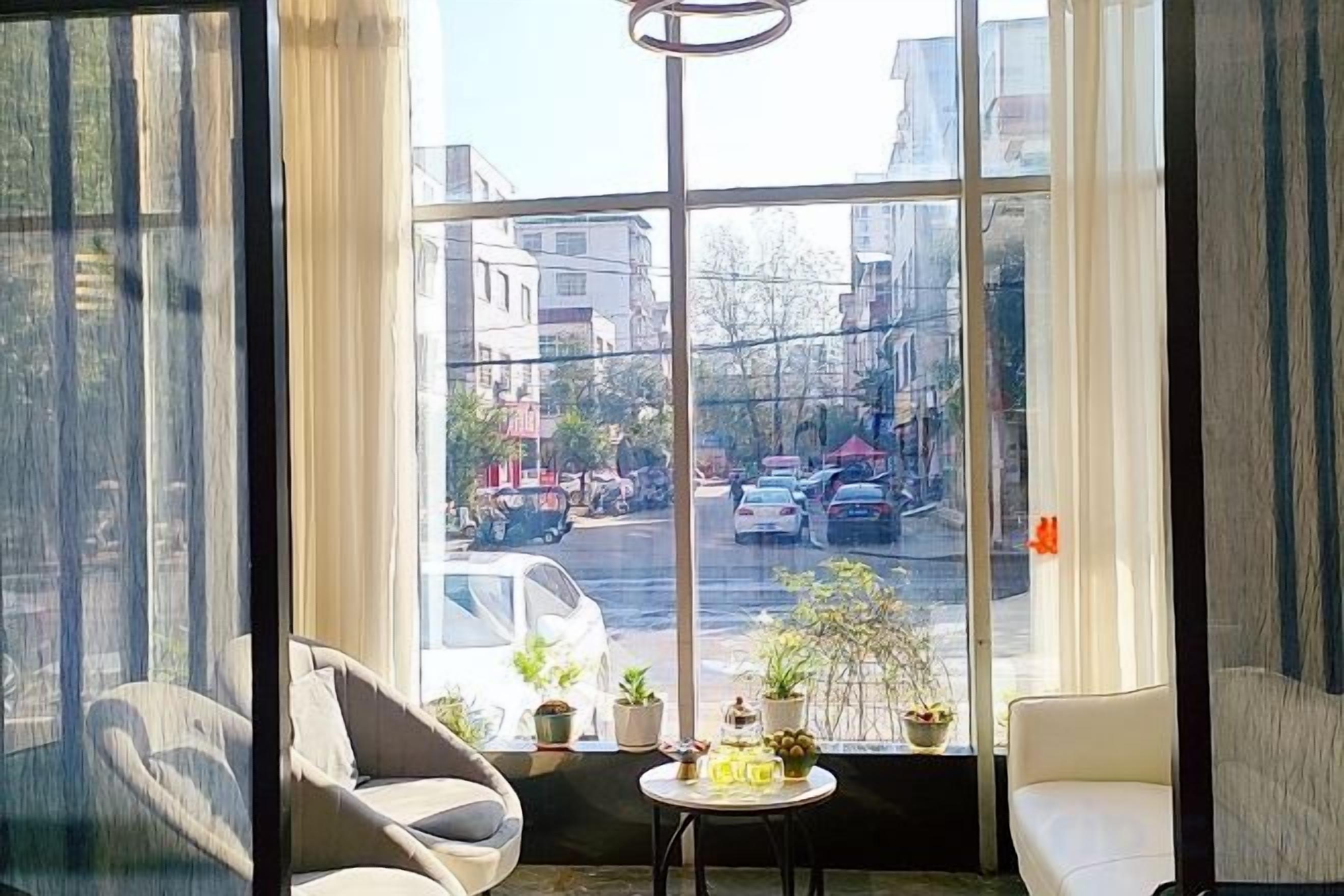 Una habitación con un ventanal grande, dos sofás, una mesita con plantas en macetas y vistas a una calle con coches aparcados.