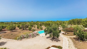 A landscaped property with a swimming pool, pathways, and trees.
