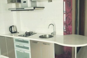 Interior - Xinyi Apartment (Harbin)