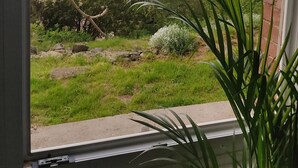 Vista a través de una ventana que muestra un cuarto con pared de ladrillo y un paisaje verde con colinas y árboles.