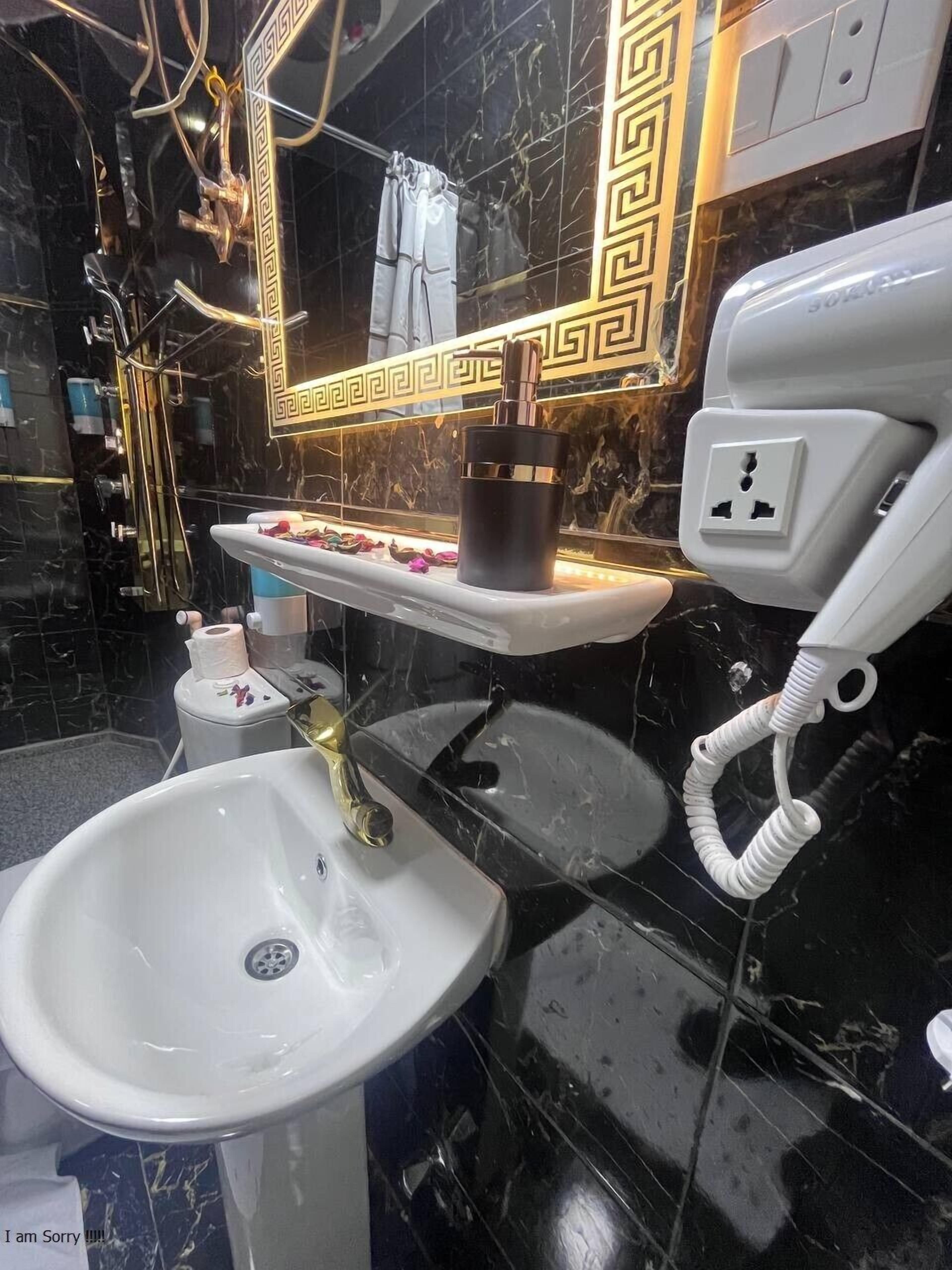 A bathroom with a white sink, a mirror with a decorative frame, and a telephone.