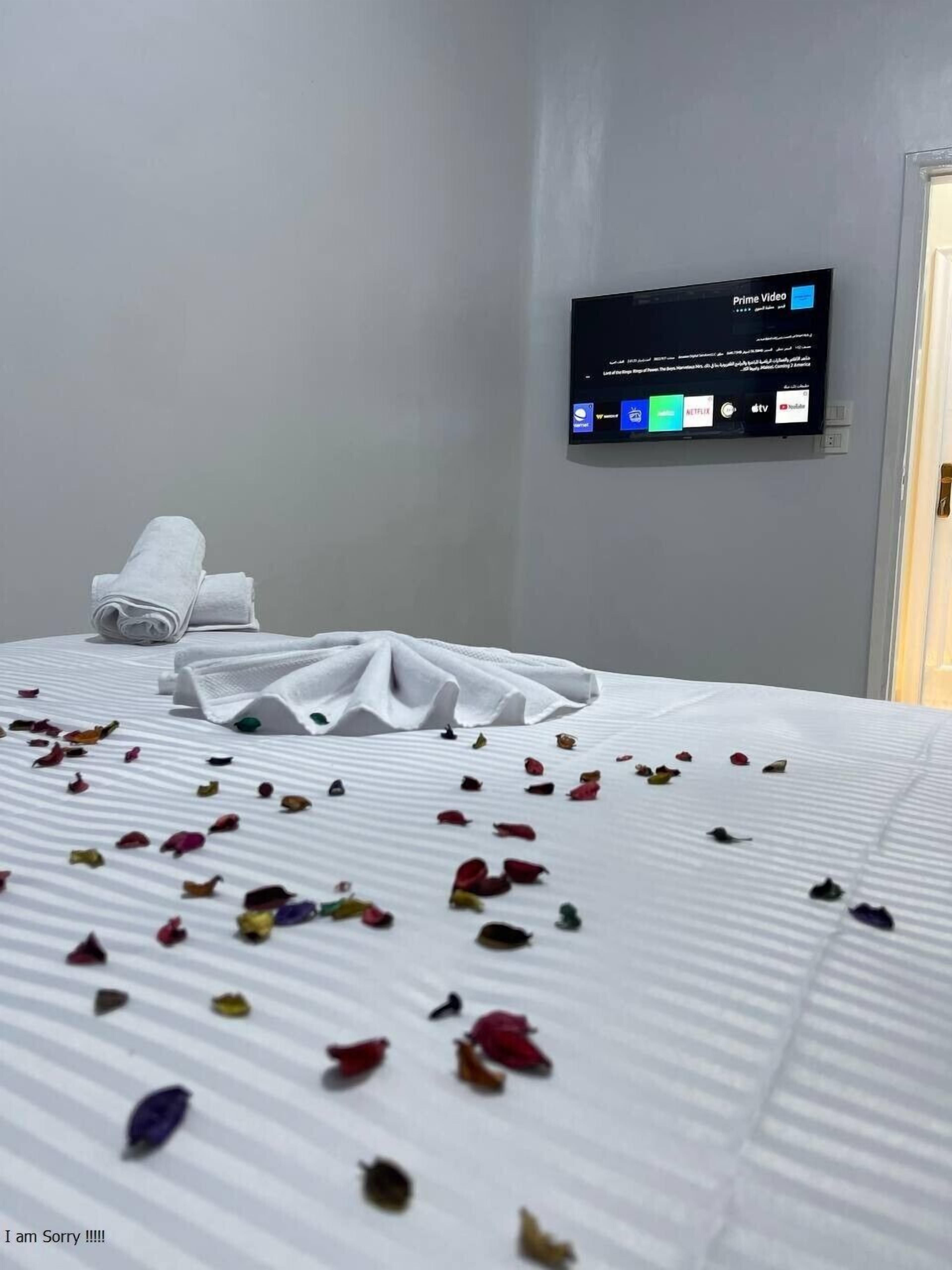 Foto - Future Hostel