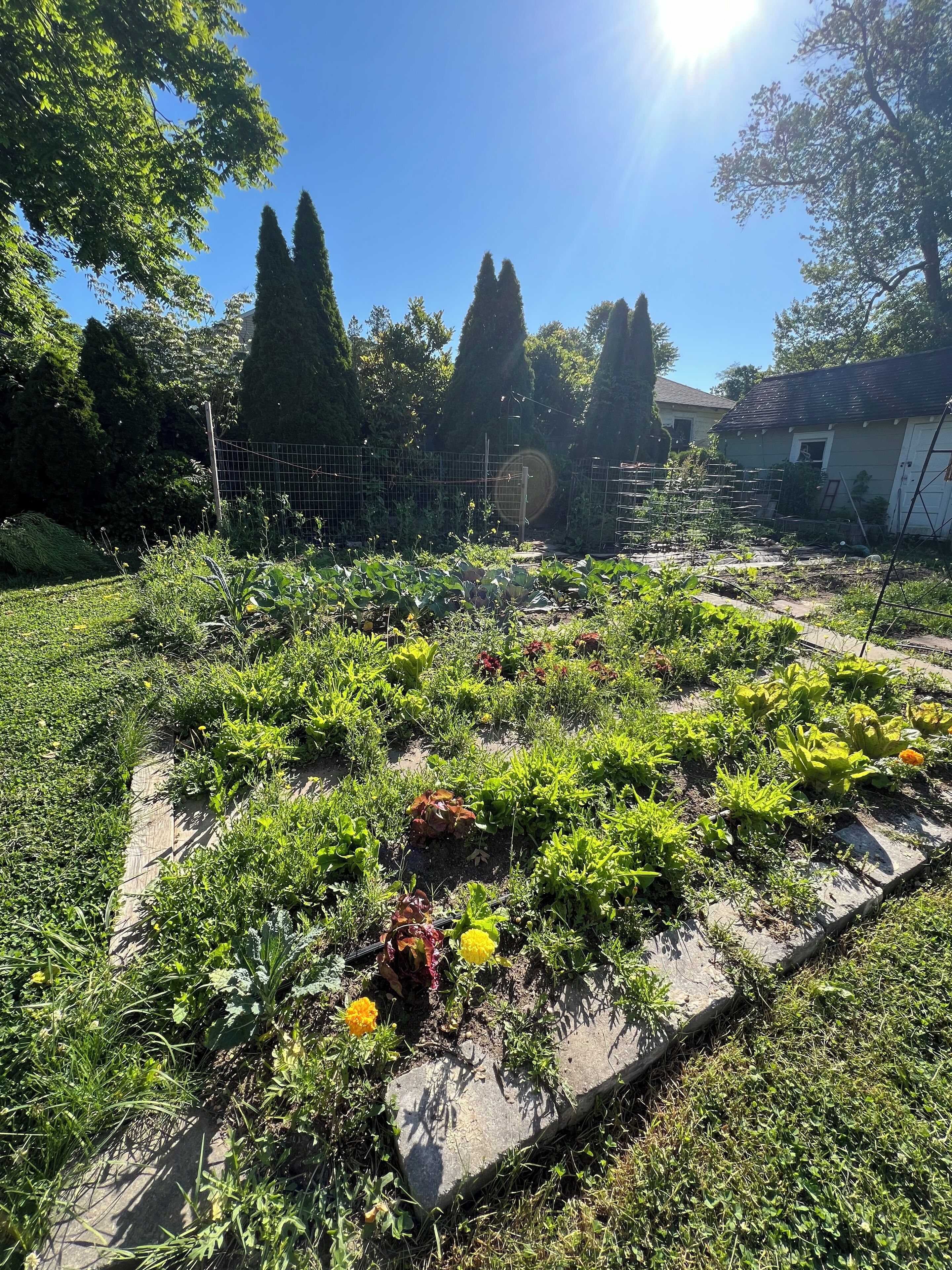 Overnattingsstedets uteområder