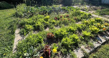 Charming 2-bedroom house in Atlantic Highlands close to beach, WiFi, AC.