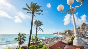 Una playa con palmeras, cielo despejado y una calle con edificios al fondo.