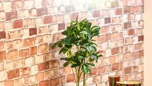 Un comedor con pared de ladrillo, una mesa de madera y una planta en maceta.