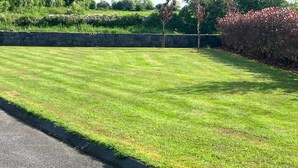Property grounds - Reopened for 2024 Season Warm & Cosy Little Chalet (Abbeyknockmoy)