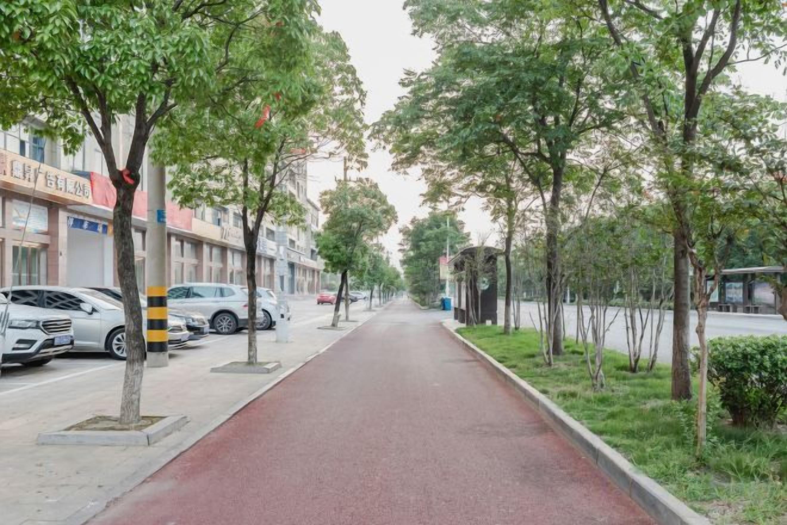 A tree-lined street with parked cars and a red bike lane.