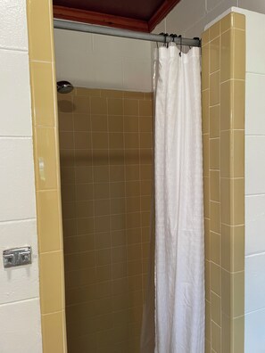 Shower, hair dryer, soap, shampoo
