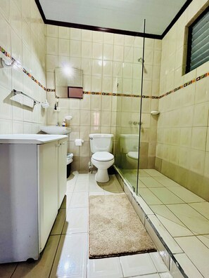 Ducha, toallas, papel higiénico