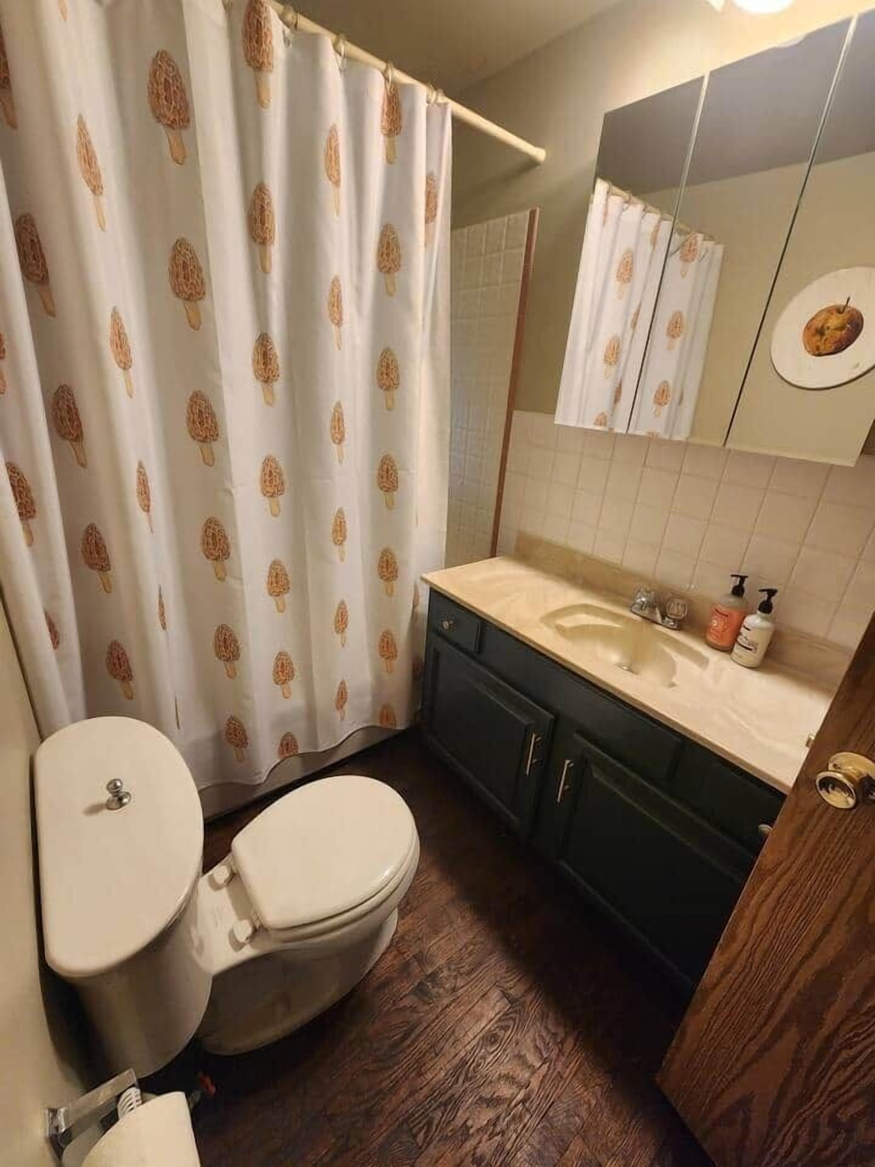Hair dryer, soap, shampoo, toilet paper