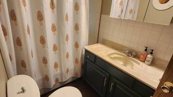 Hair dryer, soap, shampoo, toilet paper
