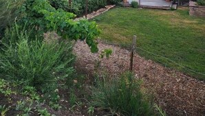 Un jardín con una estructura de madera, un área pavimentada y vistas a una cadena montañosa.