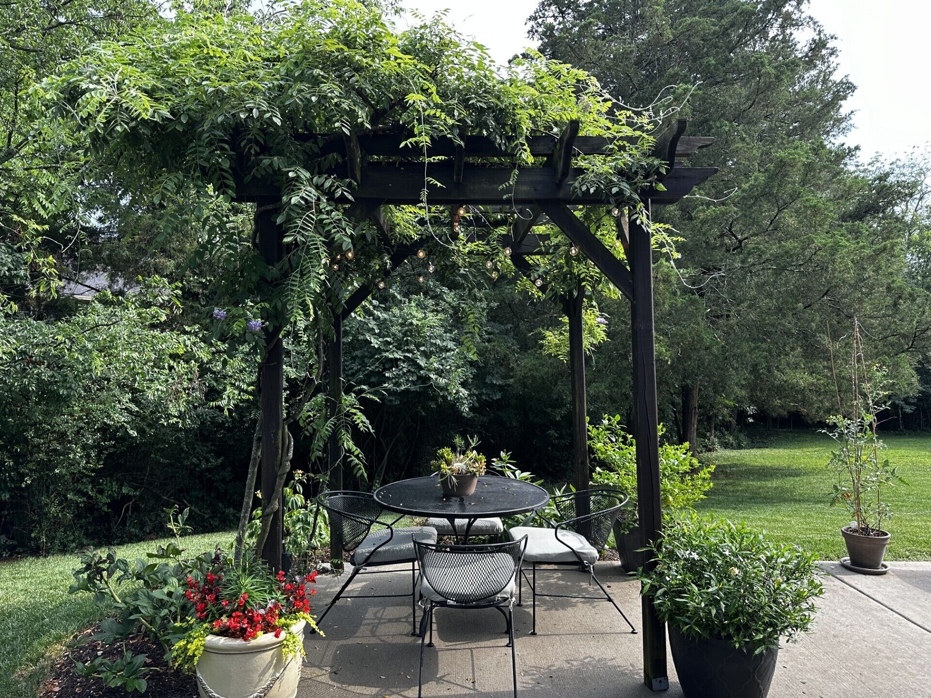 Un patio aménagé avec une pergola, une table et des chaises d’extérieur, ainsi que des plantes en pot.