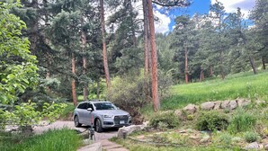 A silver SUV parked on a stone pathway surrounded by lush greenery and tall trees.