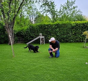 A grassy outdoor area with a dog and a person.