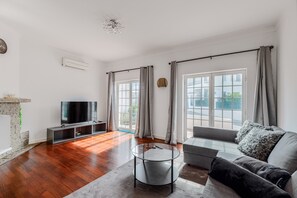 TV, fireplace, video games, DVD player