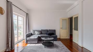 Télévision, cheminée, jeux vidéo, lecteur de DVD