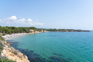 Ein Küstenstrand mit klarem türkisblauem Wasser, einem sandigen Ufer und einer Baumreihe.