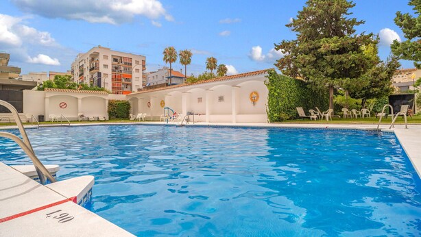 Una piscina con agua azul cristalina, rodeada de sillas de descanso y una palmera.