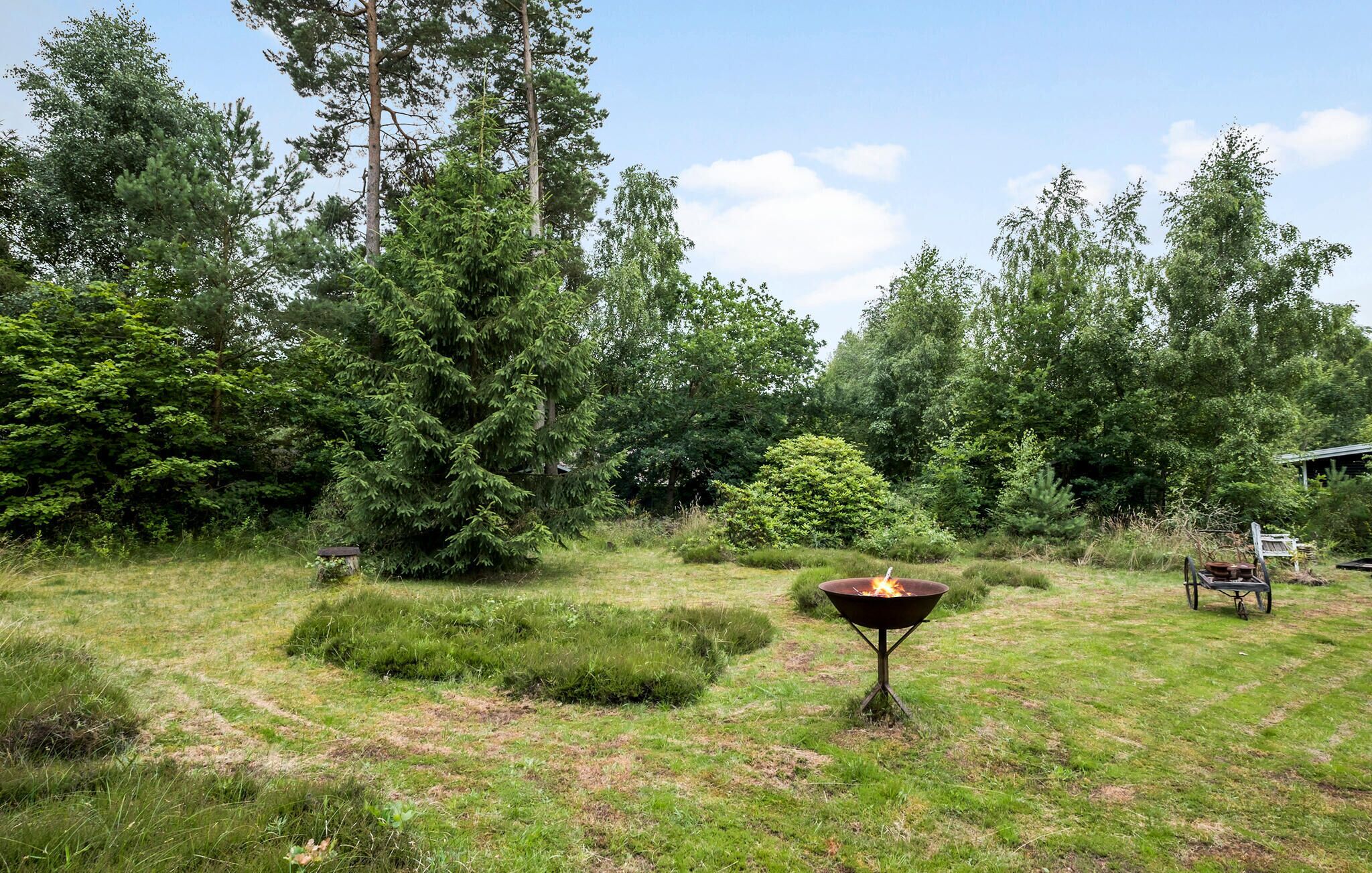 Un espace extérieur verdoyant, avec un foyer en métal au centre, entouré de différents arbres et arbustes.
