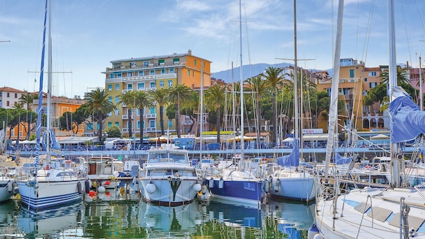 Un puerto deportivo con varias embarcaciones amarradas, rodeado de edificios y palmeras.
