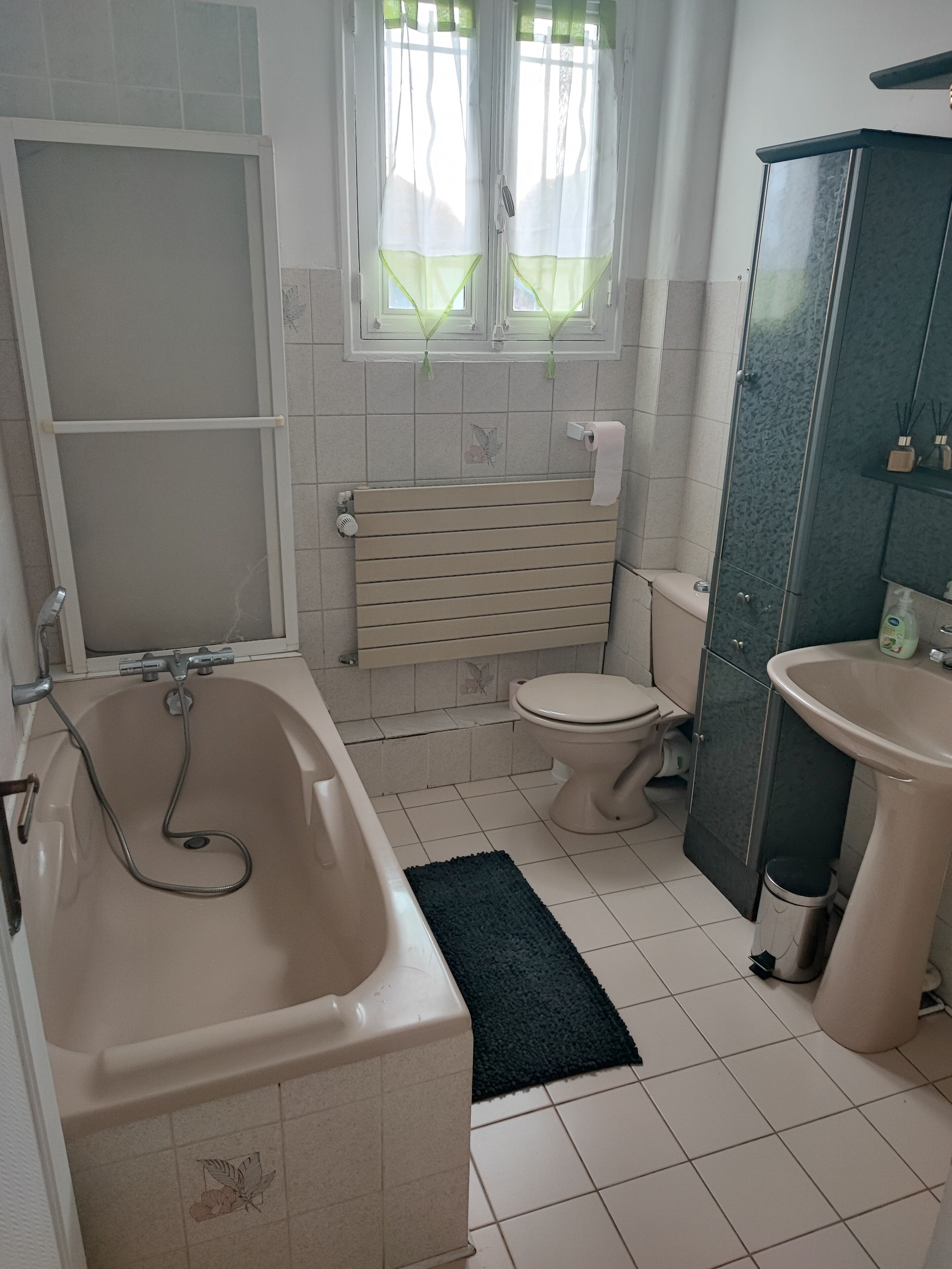 Towels, soap, shampoo, toilet paper