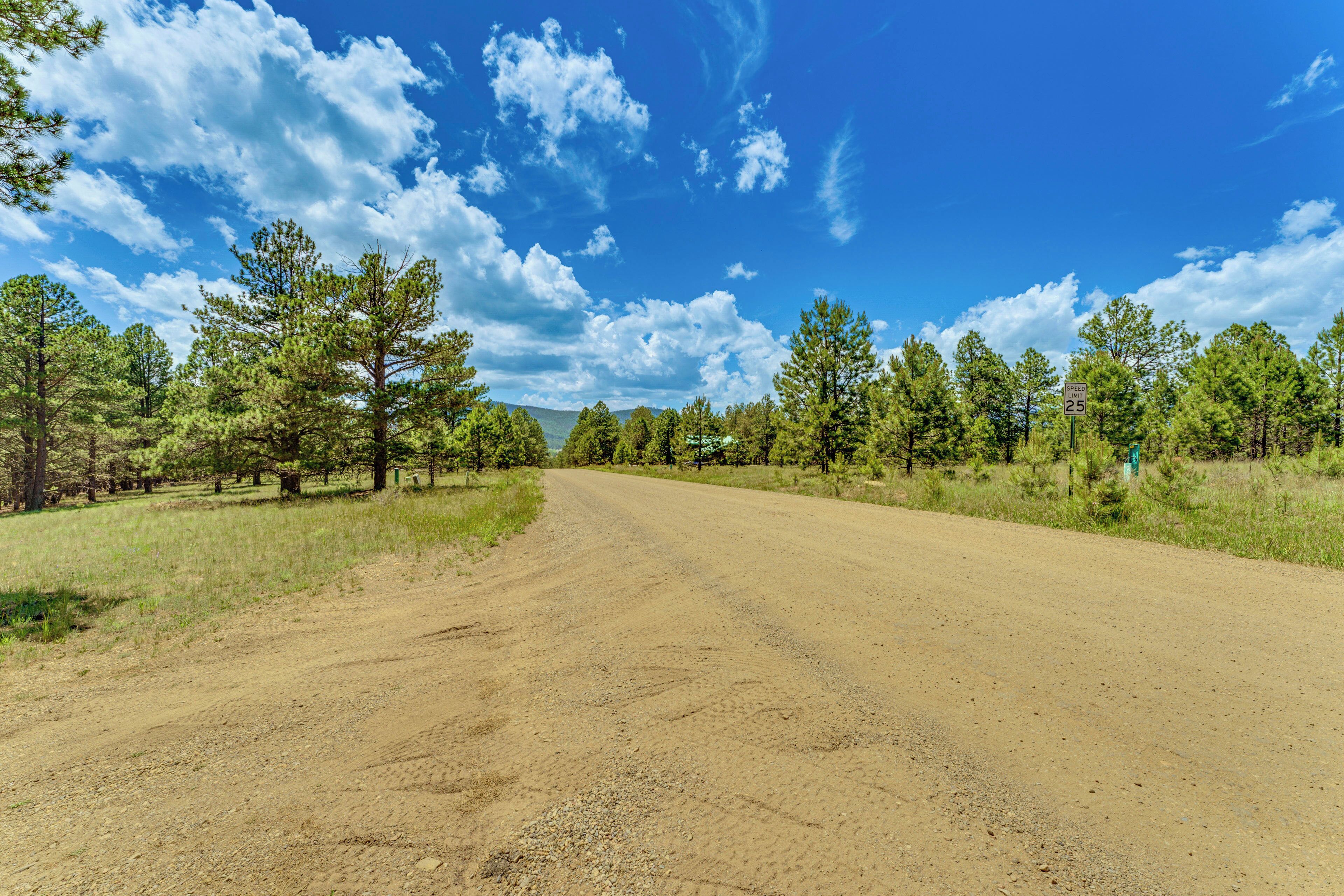 A dirt road flanked by trees under a clear blue sky.