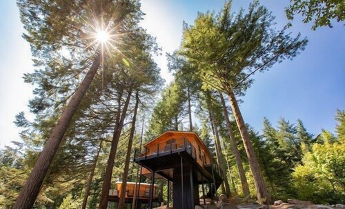 Luxury Tree Houses into the Heart of Washington