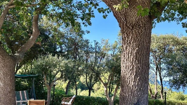 A serene outdoor seating area with a swing chair and a wooden bench, surrounded by large trees and a view of the water. - S341 - Sirolo, new two-room apartment in the center with parking space (Sirolo)