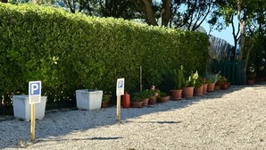 A gravel parking area with two parking signs and potted plants. - S340 - Sirolo, new two-room apartment in the center with parking space (Sirolo)