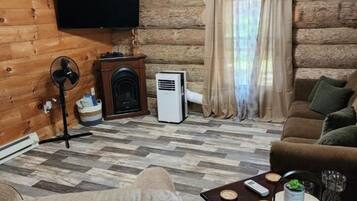 Älytelevisio, takka, DVD-soitin, kirjoja