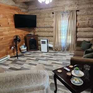 Smart TV, fireplace, DVD player, books