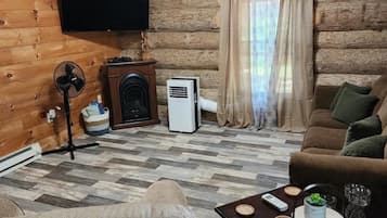Smart TV, fireplace, DVD player, books