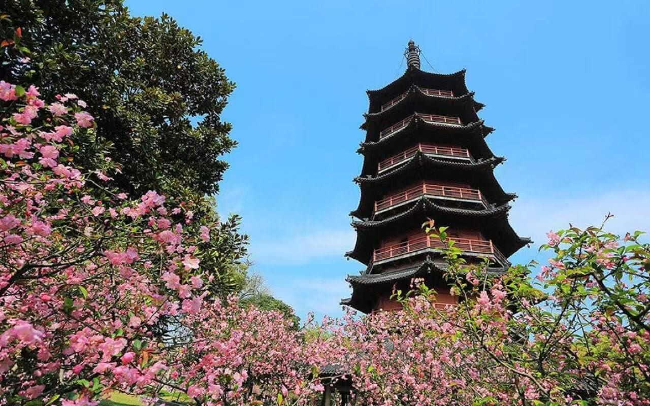 A traditional multi-tiered pagoda surrounded by blooming cherry trees.