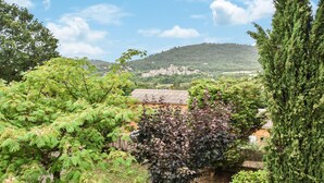 A lush garden with various trees and a view of a hillside village.