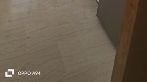 Una cocina moderna con electrodomésticos de acero inoxidable, armarios de madera y vistas al exterior.