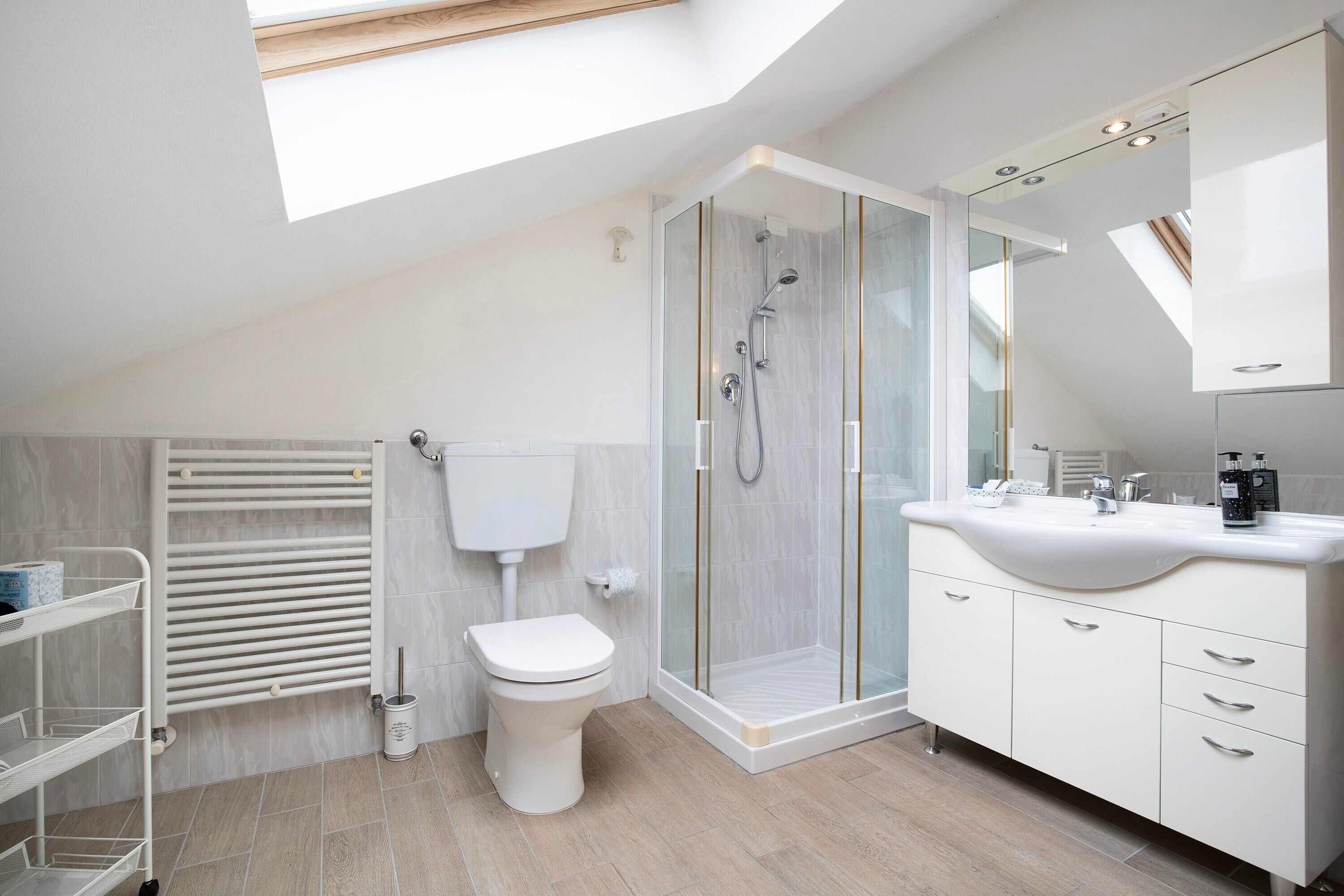 Shower, hair dryer, towels