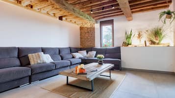 Tv, pejs, bordtennisbord