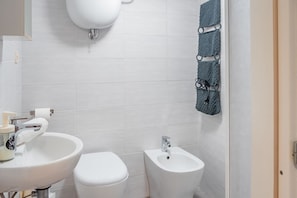 Shower, hair dryer, bidet, towels