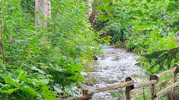 A wooden bridge over a flowing stream surrounded by lush greenery. - 2 bedroom awesome home in Ferlach (Ferlach)