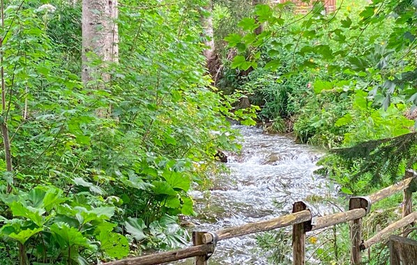 Jardines del alojamiento