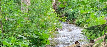 Fantastisk hjem med 2 soverom i Ferlach